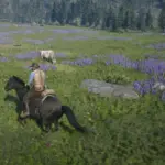 Cattle-herding