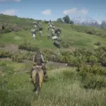 Cattle-herding2