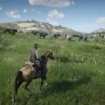 Cattle-herding3