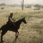 Cattle2