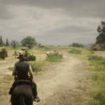 Cattle3
