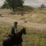 Cattle4