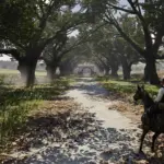 Chelonia-Visuals-Western-Graphics-Mod2