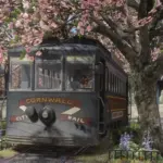 Cherry-Blossoms-in-Saint-Denis2