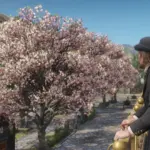 Cherry-Blossoms-in-Saint-Denis5