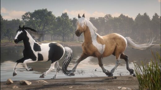 Chincoteague-Pony-Pack-1024x536-1
