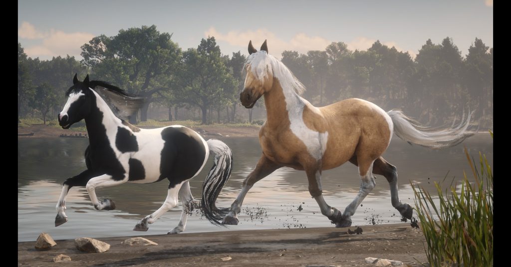 Chincoteague Pony Pack