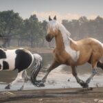 Chincoteague-Pony-Pack