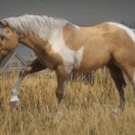 Chincoteague-Pony-Pack2