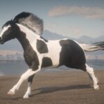 Chincoteague-Pony-Pack3