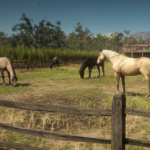Complete-Horse-Overhaul3