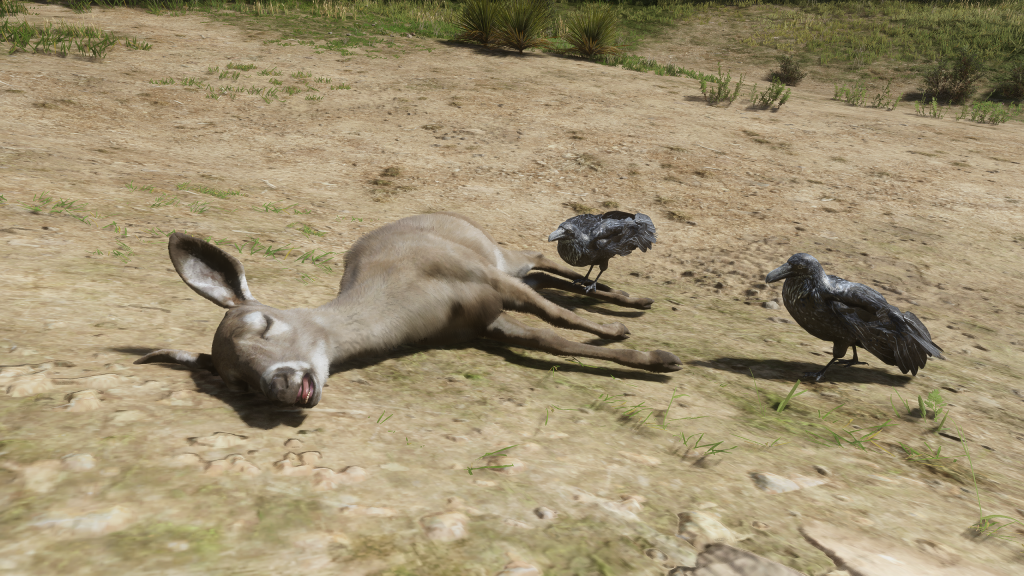 Corpse Spawn Distance