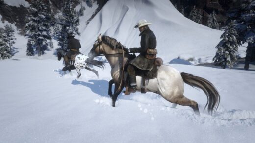 Crossbreed-Horses4-1024x576-1