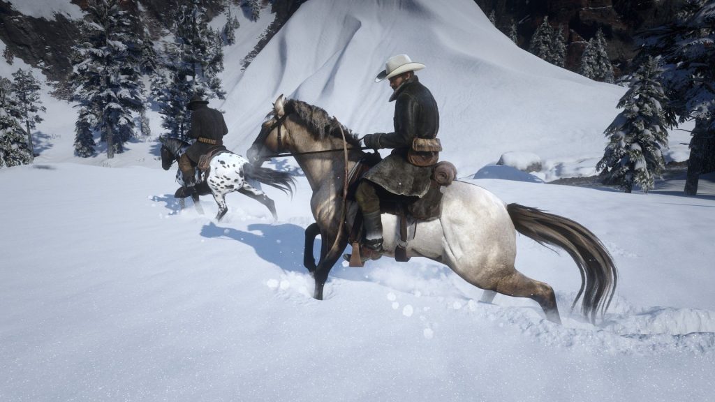 Crossbreed Horses