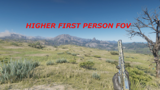 Custom-First-Person-FOV-1024x432-1