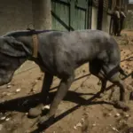 Cut-Content-Dogs-Unlocked-for-SP5