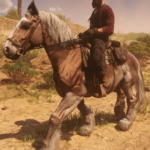 Cut-Horse-Coats-Restored3