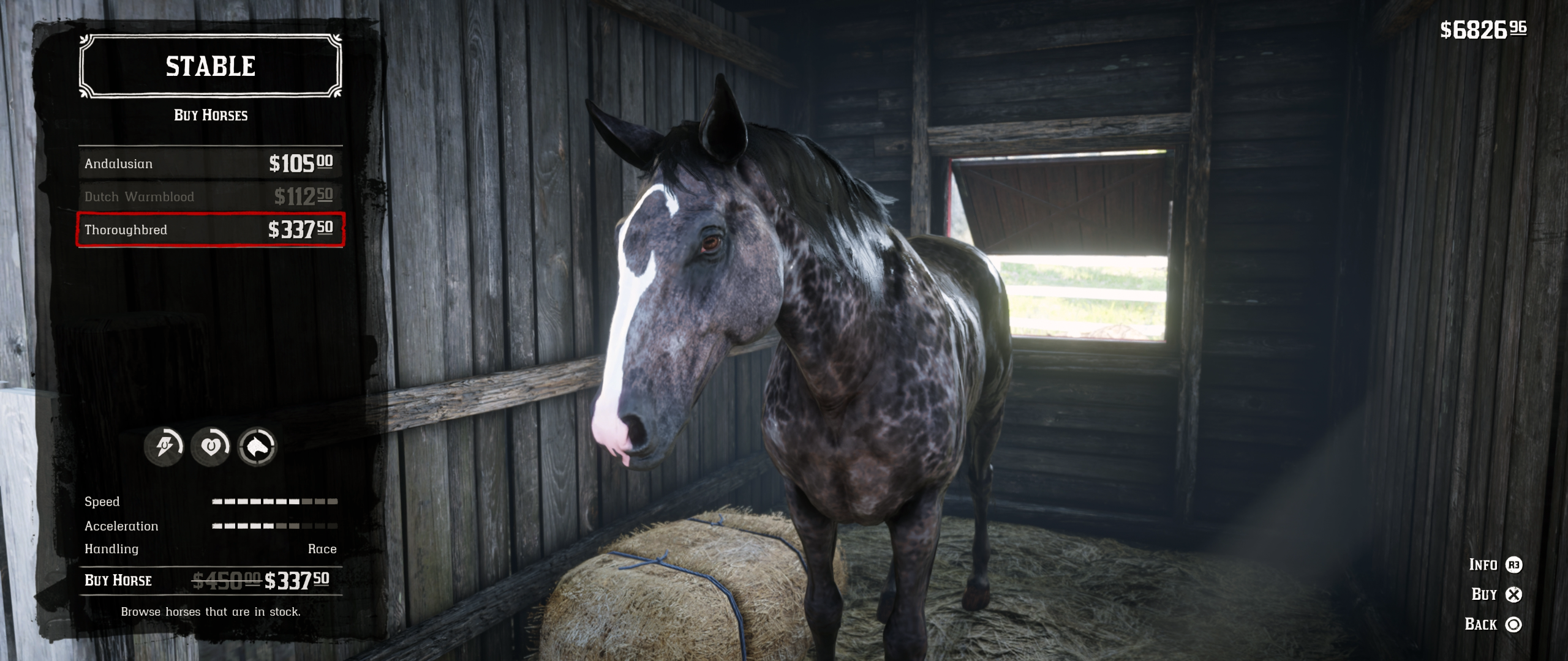 Dappled Black Thoroughbred