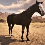 Dark-Horse-1