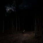 Dark-Nights-1.1