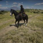 Dark-horse