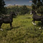 Dark-horse4