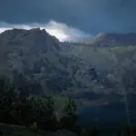 Darkrock-Grizzlies2