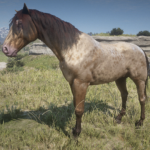 Deleted-Horse-Coats-Restored3