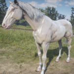 Deleted-Horse-Coats-Restored4