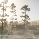 Dense-Forests-of-New-Austin3