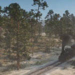 Dense-Forests-of-New-Austin5