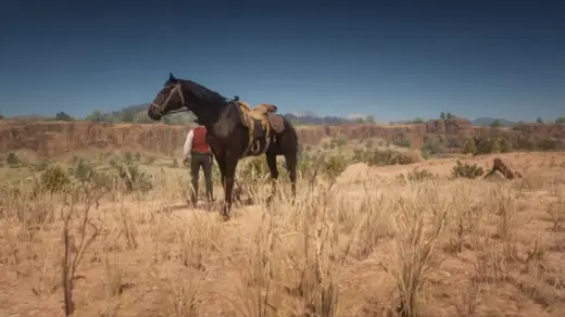 Doc-Holliday-horse-1024x576-1