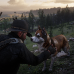 Dog-Companion