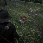 Dog-Companion2