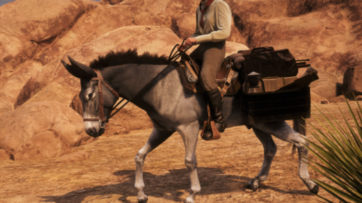 Donkeys-1024x872-1
