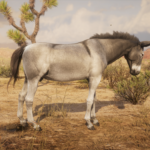 Donkeys2