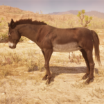 Donkeys3