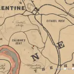Driscoll-camp4