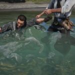 Drown-NPCs3