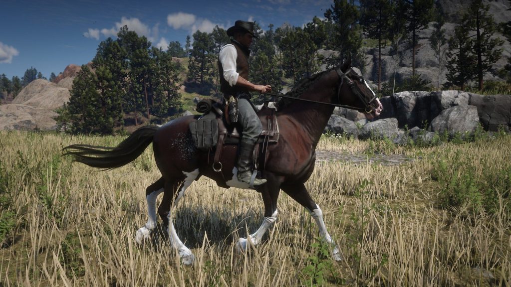Dutch Warmblood