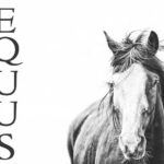 EQUUS