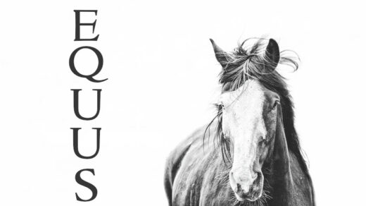 EQUUS