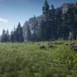 Eco-Definitive-Wildlife-Overhaul4