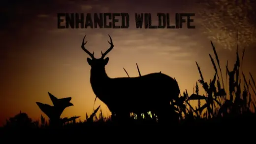 Enhanced-Wildlife-1024x576-1