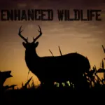 Enhanced-Wildlife