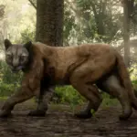 Enhanced-Wildlife3