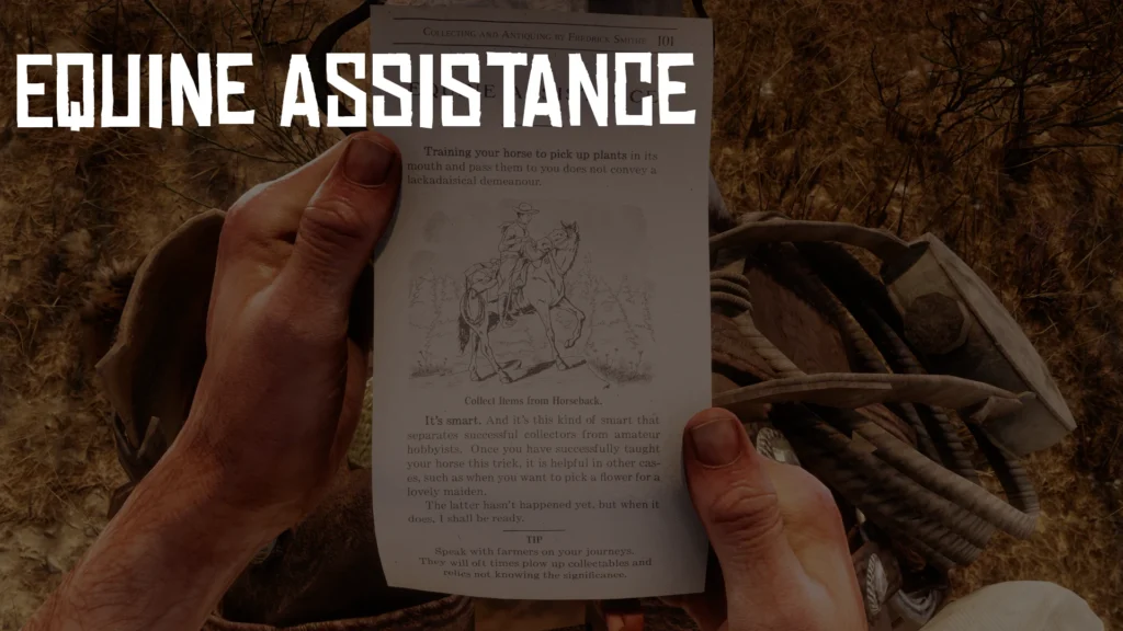 Equine Assistance V1.0.1