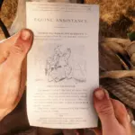 Equine-Assistance3