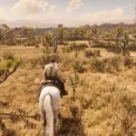 Equine-Assistance5