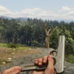 FN-19034